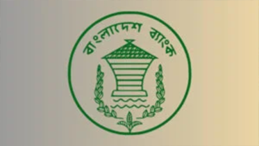 বিশ্বজুড়ে সাইবার সতর্কতা, বন্ধ বাংলাদেশ ব্যাংকের ওয়েবসাইট বিশ্বজুড়ে সাইবার সতর্কতা, বন্ধ বাংলাদেশ ব্যাংকের ওয়েবসাইট